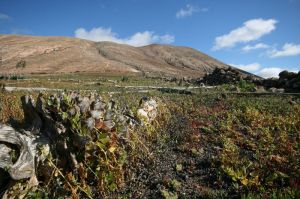 Auf zum über 500m hohen Vulkan.