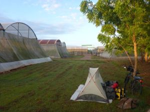Sicherer Schlafplatz neben den staatlichen Gemüsetreibhäusern.