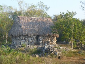 Permakultur von hoher Güte
